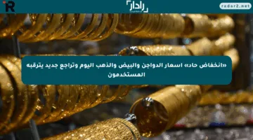 «انخفاض حاد» أسعار الدواجن والبيض والذهب اليوم وتراجع جديد يترقبه المستخدمون